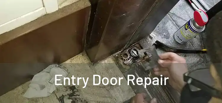 Entry Door Repair