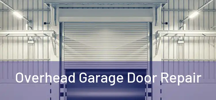  Overhead Garage Door Repair 